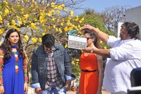Balakrishna New Movie Launch